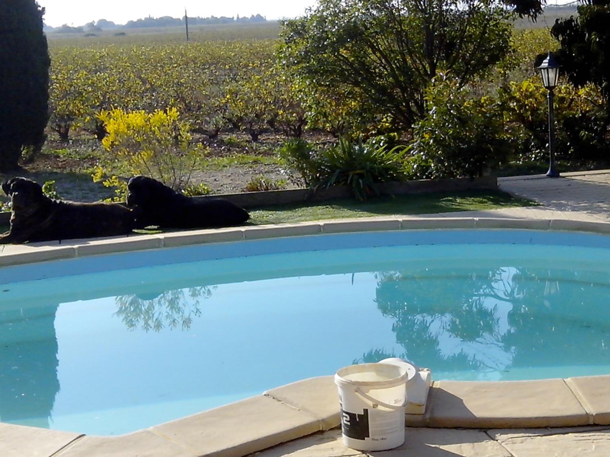 Mas Soleil Et Vignes Bed and Breakfast Saint-Hippolyte  Buitenkant foto